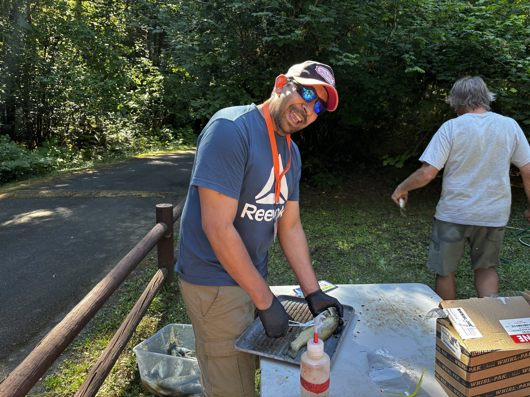 A researcher measuring a fish on a wooden board outdoors during a field collection event, with sample bags visible nearby.