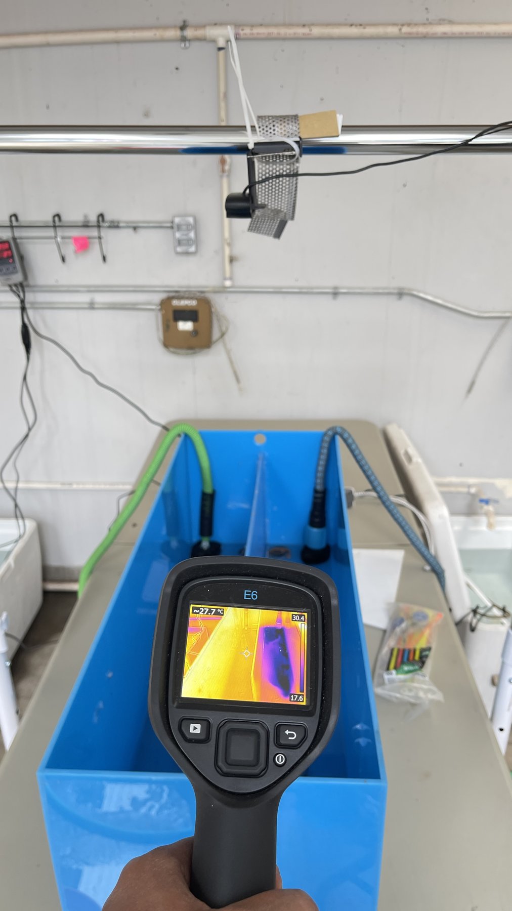 A handheld FLIR thermal-imaging camera held up to a blue divided tank, showing a warm-to-cool color gradient on its screen.