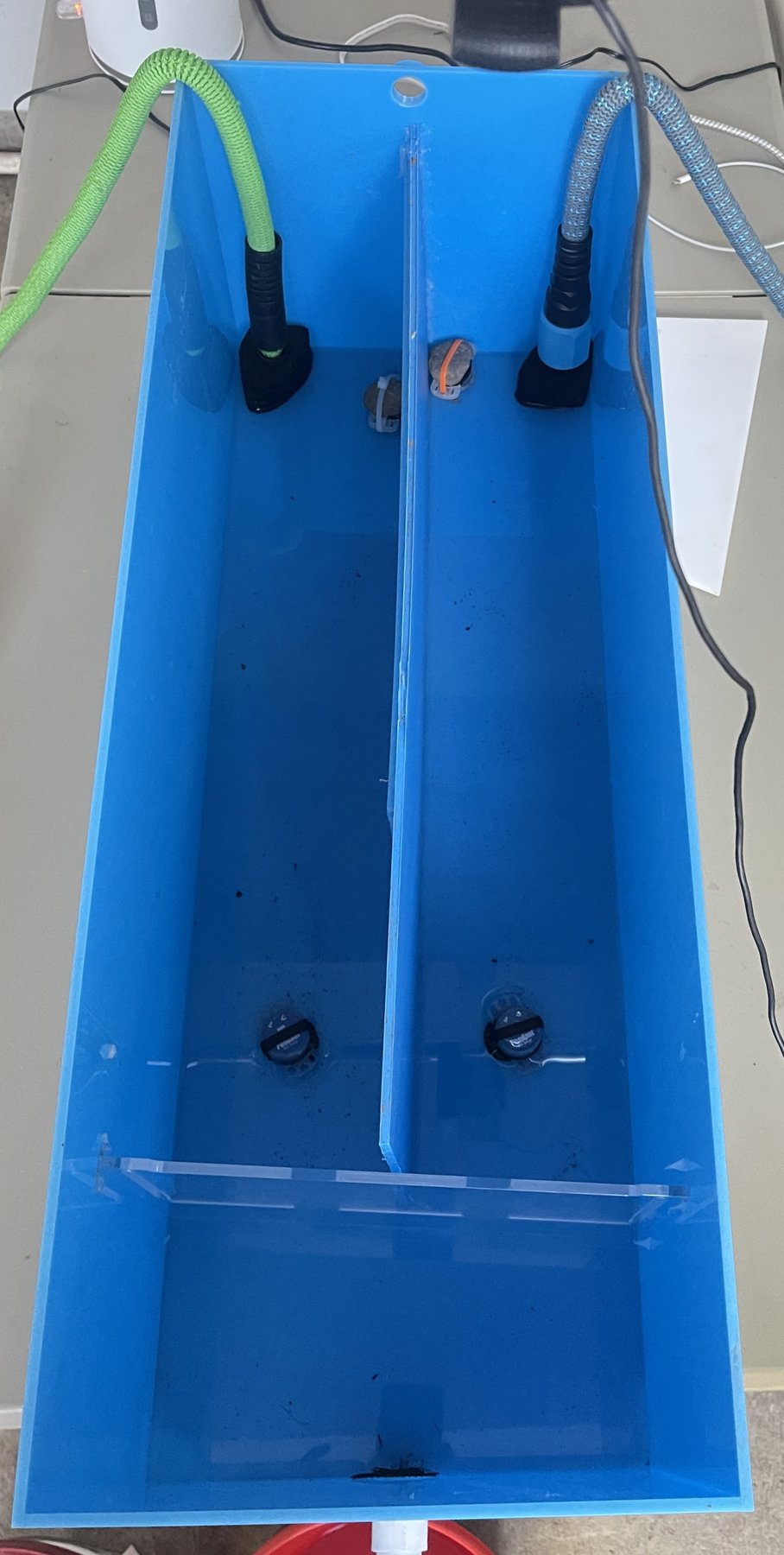 Overhead photo of an empty blue tank divided by a center partition that stops short of one end, with two probes positioned near the far end of each channel.